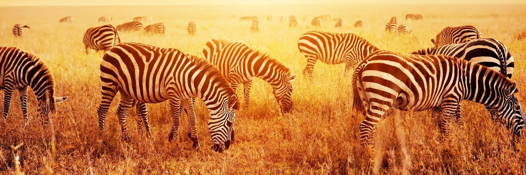Serengeti National Park