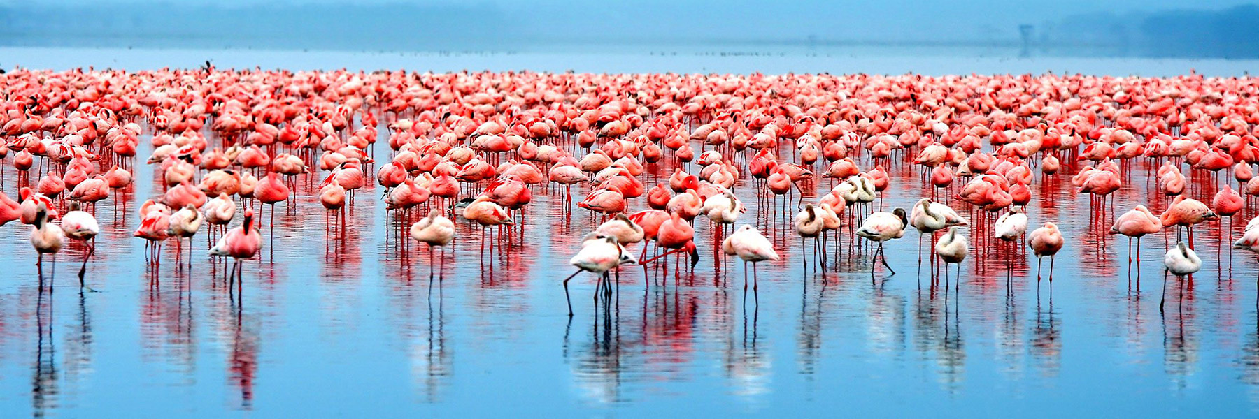 Lake Manyara Park