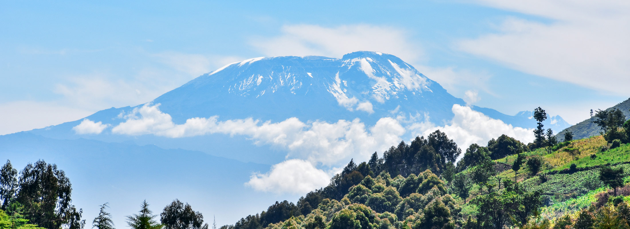 Kilimanjaro