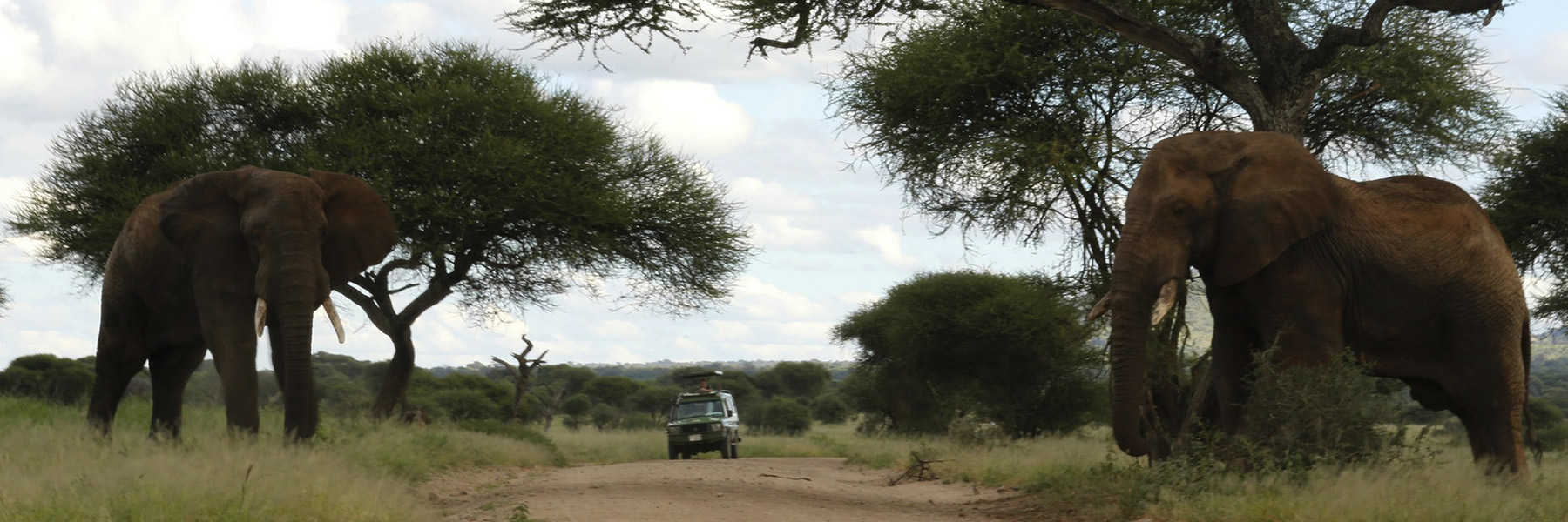 Tarangire National Park