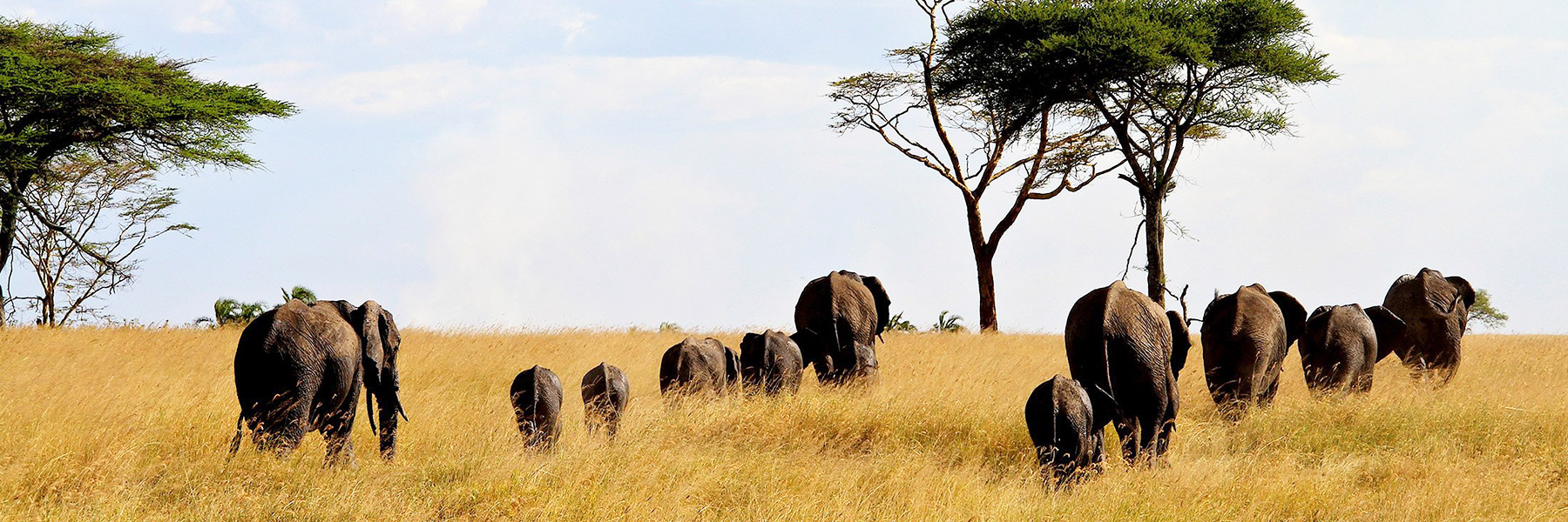 4 Days Classic Safari