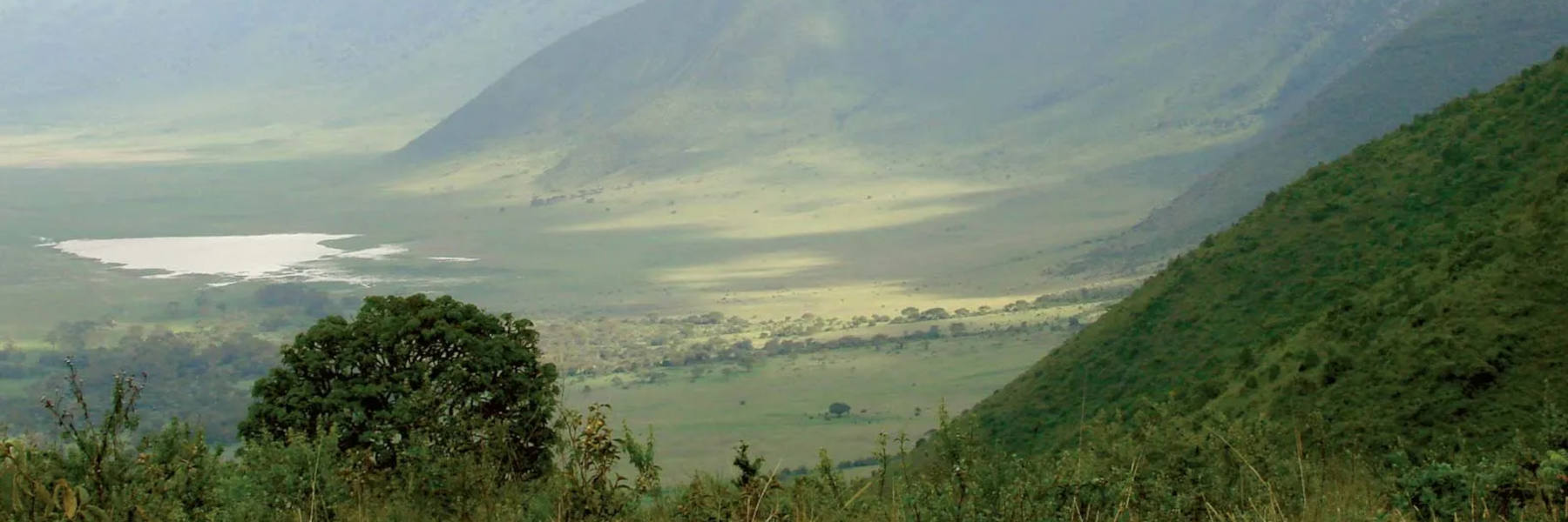 4 Days Safari to Tarangire, Serengeti & Ngorongoro