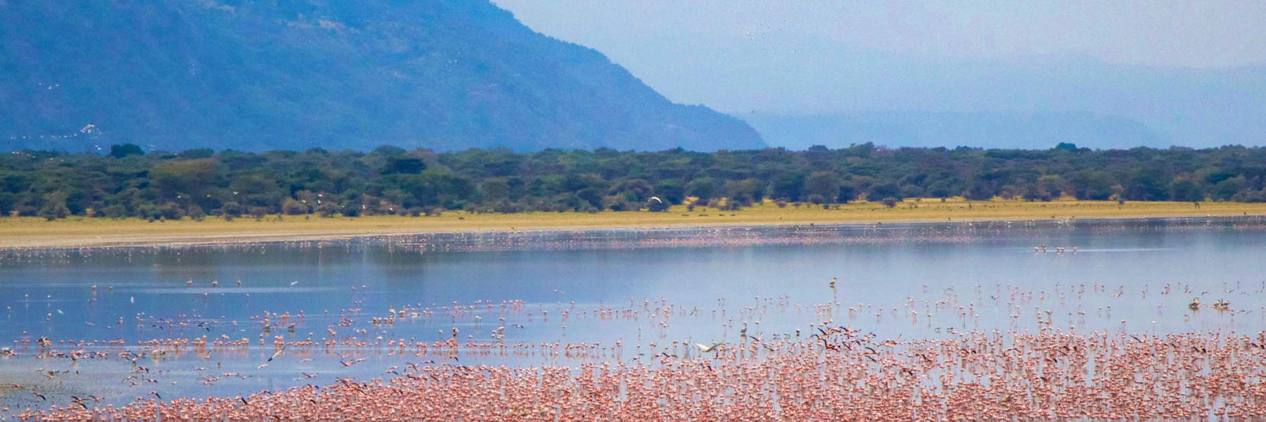 3 Days Safari to Tarangire, Manyara & Ngorongoro