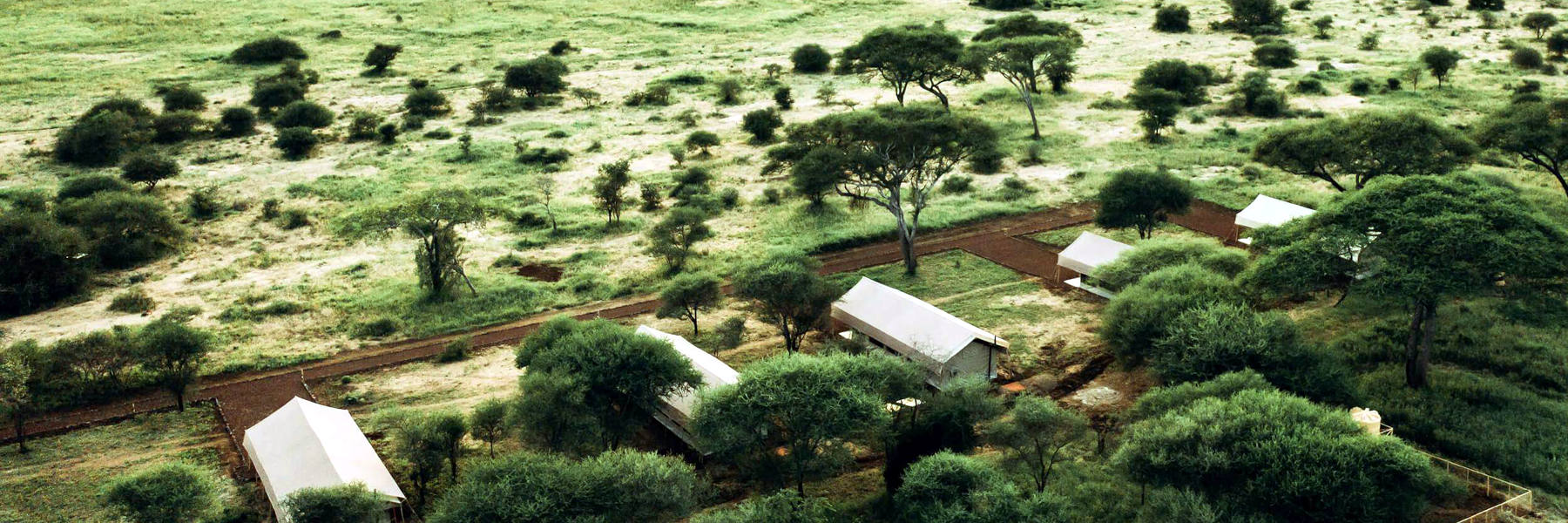 Tarangire Day Tour